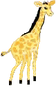 giraffe21.gif