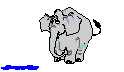elefant136.gif