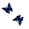 papillons-13.gif