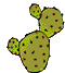 kaktus00002.gif