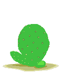 kaktus00014.gif