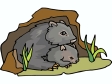 wombat.gif