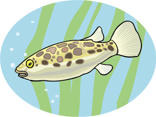 aquariumfish6.gif