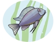 aquariumfish8.gif