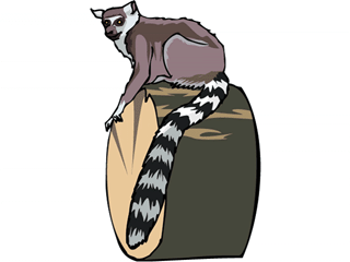 lemur2.gif