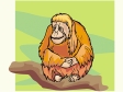 monkey11.gif