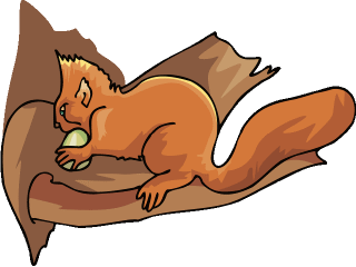 flyingsquirrel2.gif