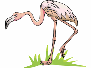 flamingo3.gif