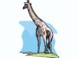 giraffe13.gif