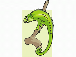 chameleon8.gif