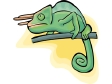 chameleon2.gif