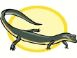 lizard22.gif