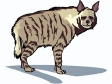 hyena2.gif