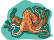 octopus432.gif