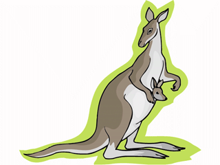 kangaroo3.gif
