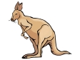 kangaroo2.gif