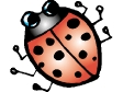 ladybug.gif