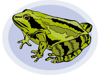 frog14.gif