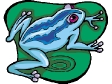 frog24.gif