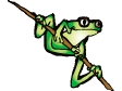 tree_frog.gif