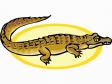 alligator11.gif