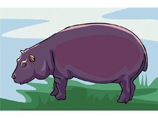 hippopotamus.gif