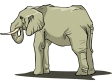 elephant13.gif