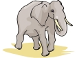 elephant14.gif