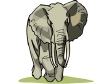 elephant16.gif