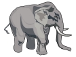 elephant19.gif