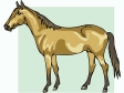 horse10.gif
