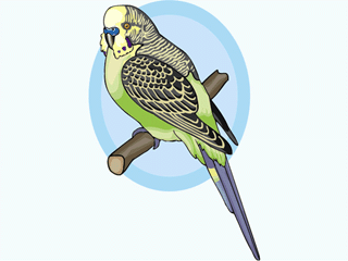 parrot9.gif