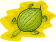 turtle13.gif