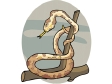 snake5.gif