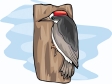 woodpecker2.gif