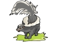 skunk.gif