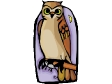 owl1.gif