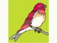 redheadbird.gif