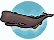 whale2.gif