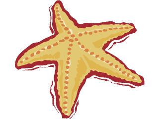 starfish.gif