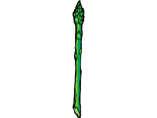 asparagus4.gif