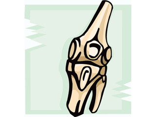 knucklejoint.gif