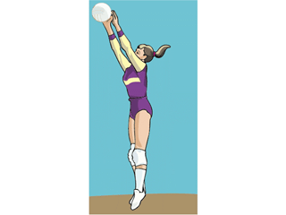 volleyballplayer5.gif