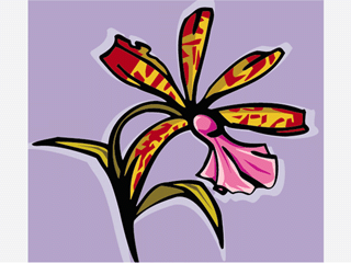 orchid17.gif