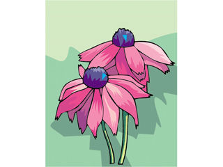 pinkflowers3.gif