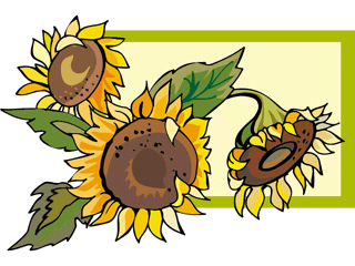 sunflower21212.gif