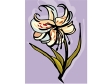 orchid21.gif