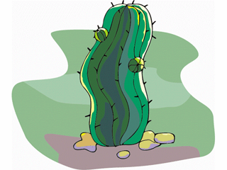 cactus10.gif