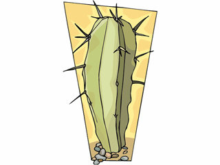 cactus101312.gif
