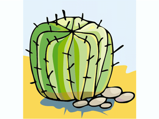 cactus101412.gif